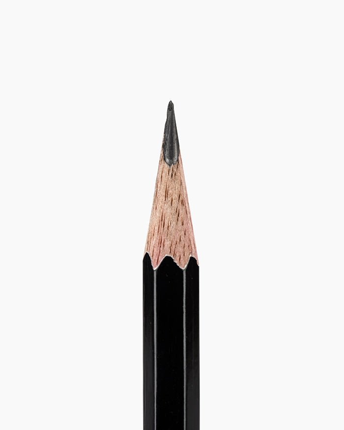 Camlin Blak Pencils ( Wooden Pencil )