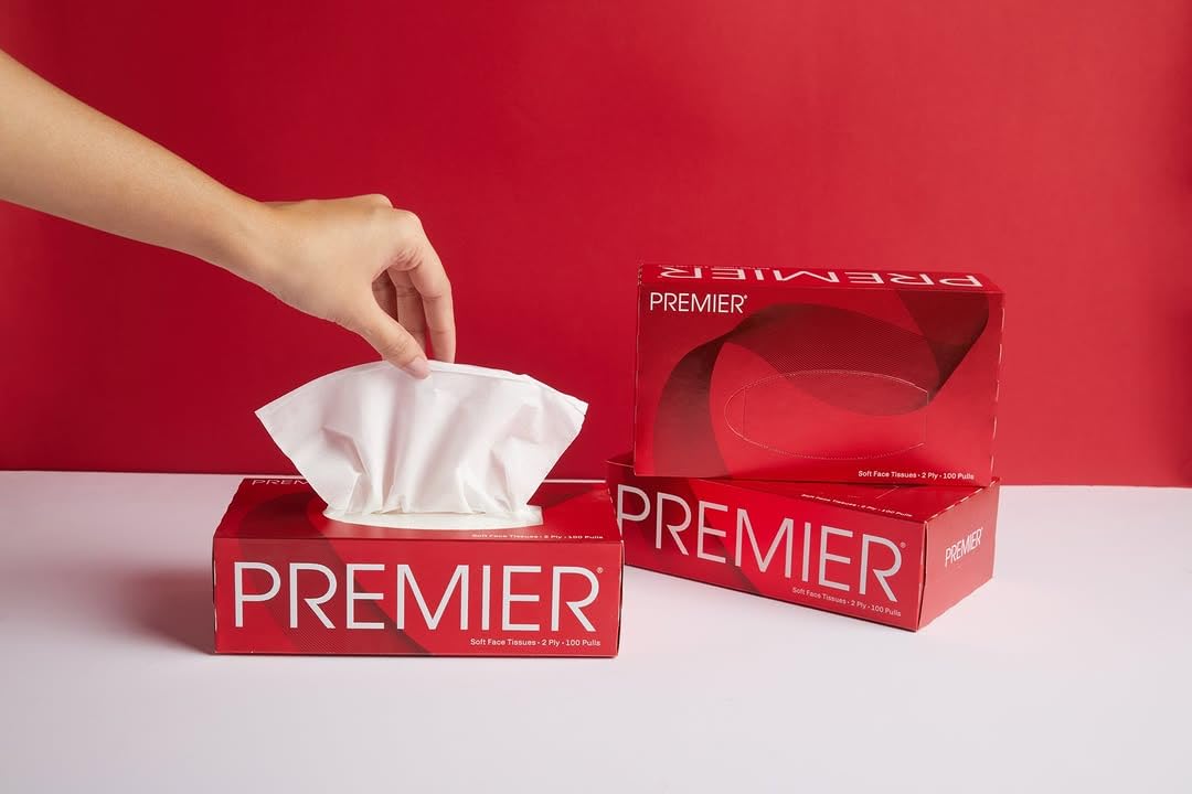 Premier Box Face Tissue Papers 100 Pulls 2Ply (Pack of 4-400 Pulls, 800 Sheets)