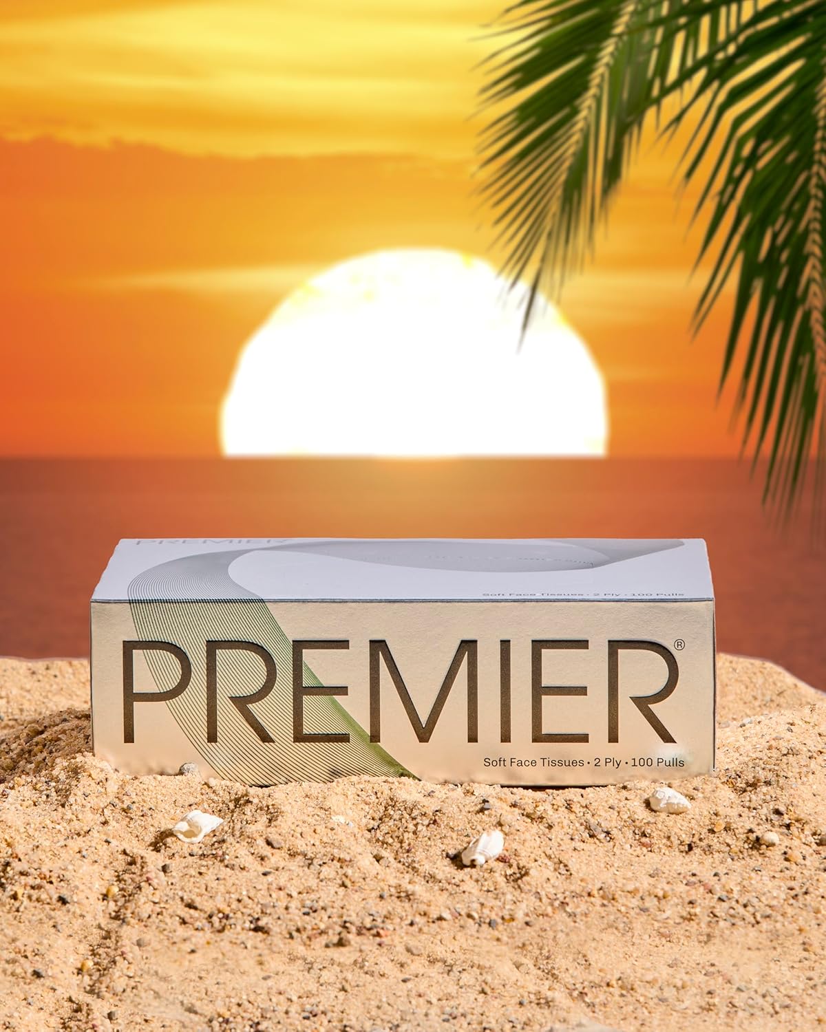 Premier Box Face Tissue Papers 100 Pulls 2Ply (Pack of 4-400 Pulls, 800 Sheets)