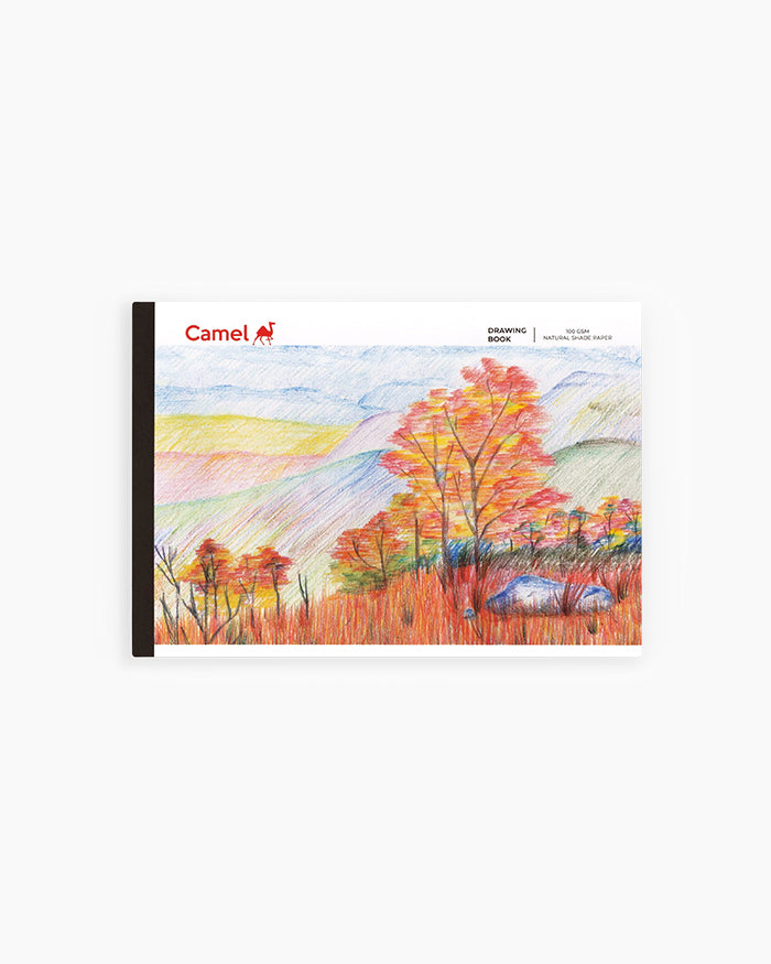 Camlin  Drawing  Books
